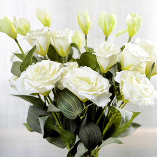 �S��ֱ�N�x�����滨���l������۹� ܛ�b�Ҿ��bٻ���c����