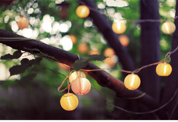 2810665071_848476127