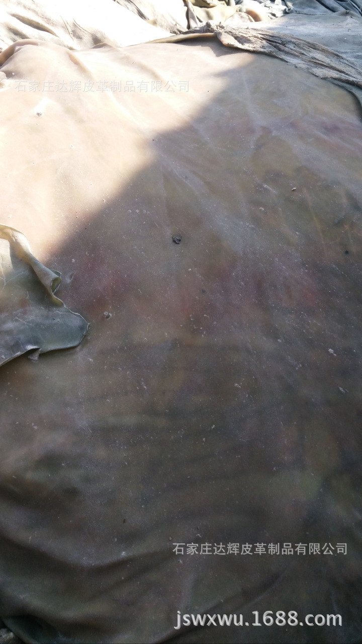 植树节截屏_20160312_192410