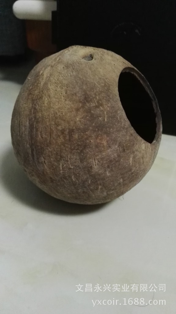 椰子壳鸟窝
