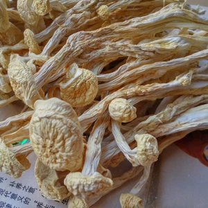 Tianyuan [прямая партия происхождения]