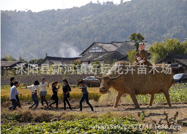 360截圖20160503101712501