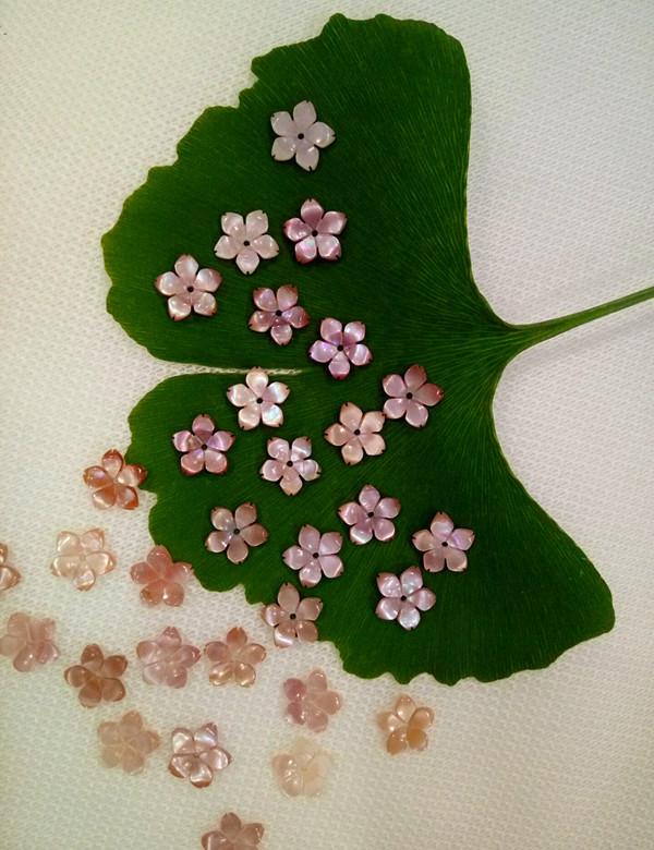 粉贝樱花1_副本