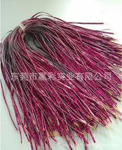 BSҹCDӡCӡ⾀ӡӹԼ