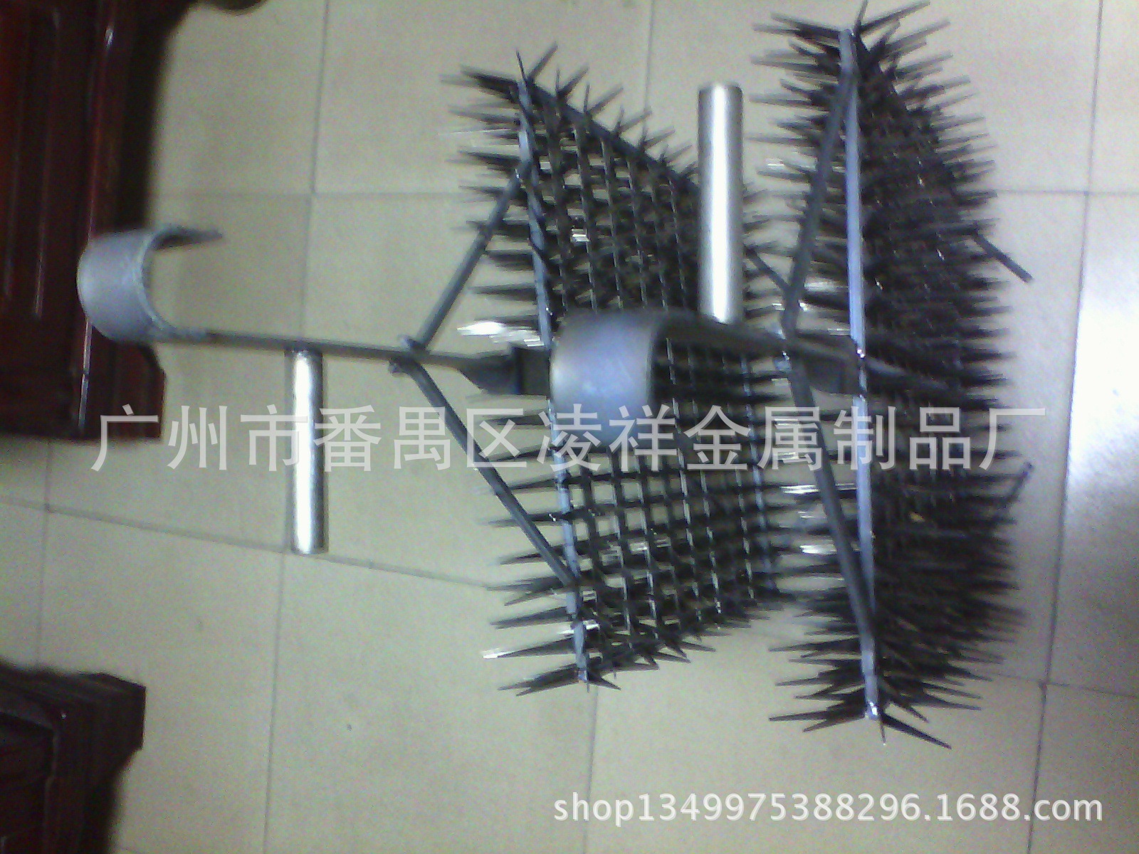 IMG_20110104_161855895