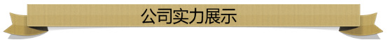 公司實(shí)力展示