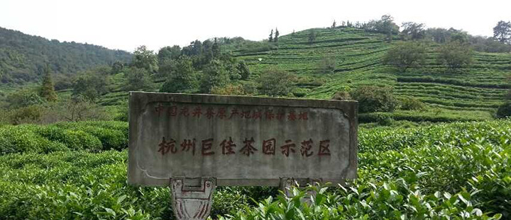 无线头背景720-311