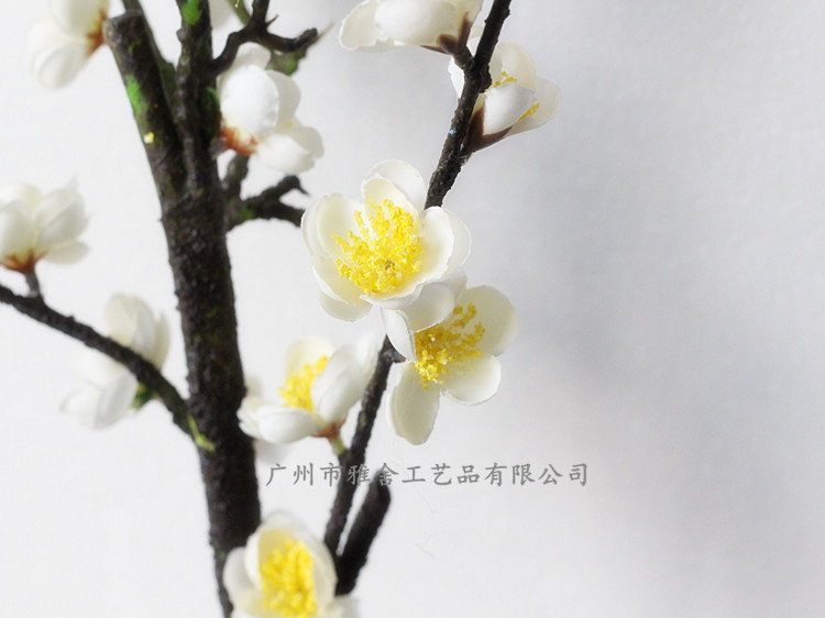 IMG_3186_副本