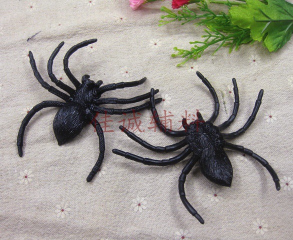 蜘蛛9.5-9.5黑