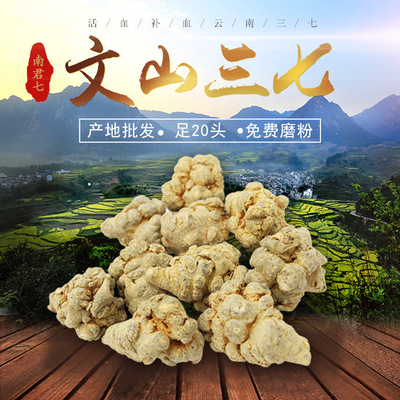 南君七三七 20頭滑頭三七  20個壹斤 水洗無蠟全幹春三七 500克