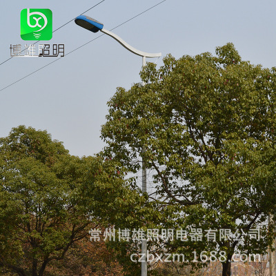 单臂路灯道路灯小区路灯广场路灯亮化工程路灯A字臂自弯臂|ru