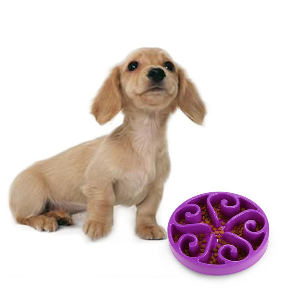 Anti Schling Napf Hundenapf Trinknapf Futternapf für Hund Katzen