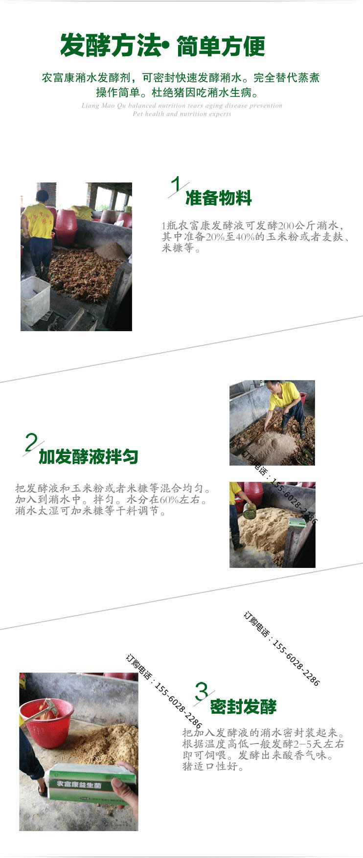 潲水发酵喂猪的方法