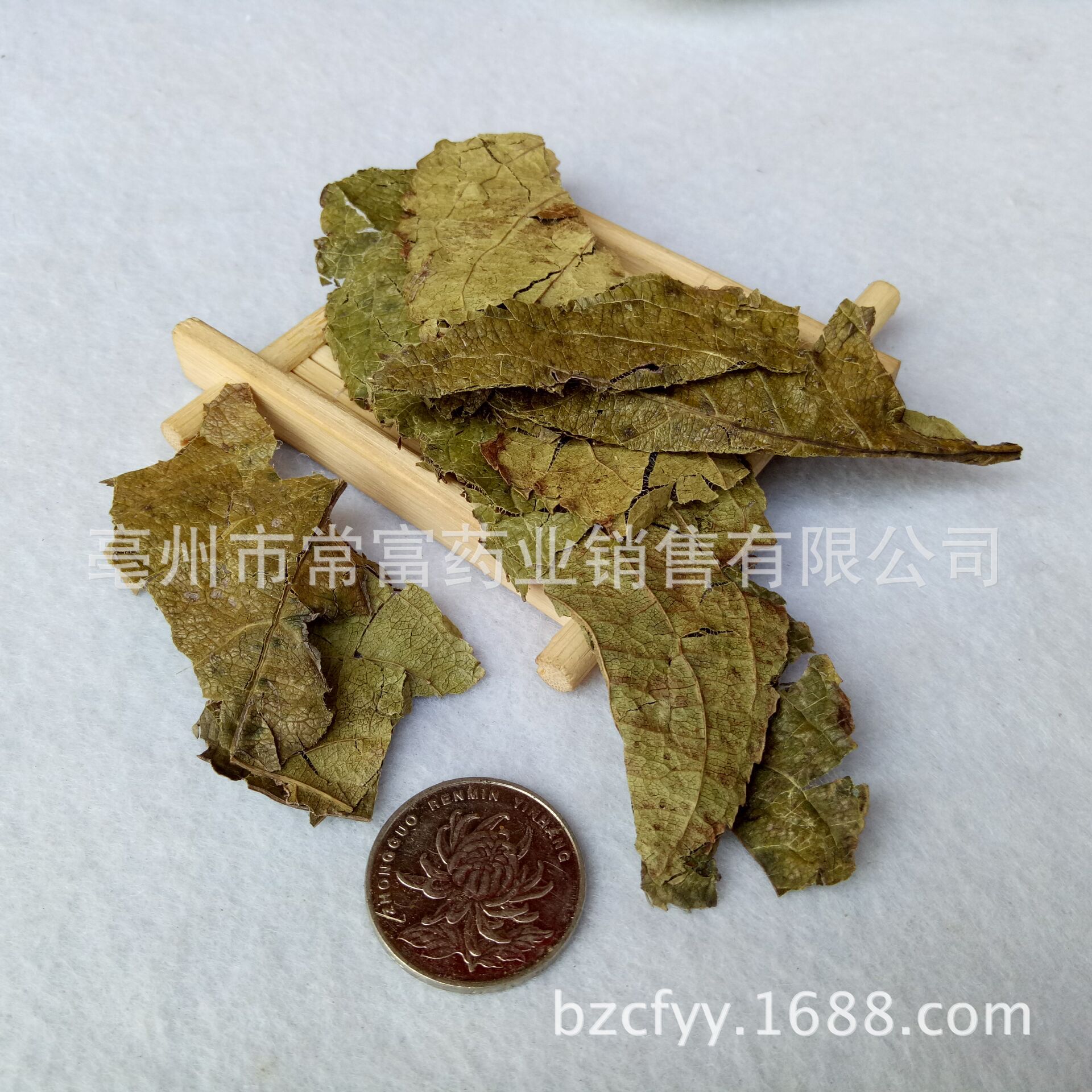 Dried Eucommia Leaf Du Zhong Ye 500g Whole Leaf Herbal Tea Material key features