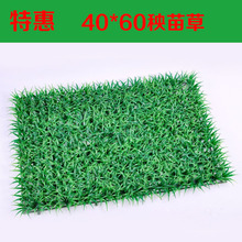 ϲƤٲƺ40*60ƺ҃׃@̨bl