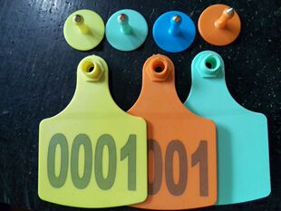 ����ţ��̖ ��ţ���� ţ���� ţ�ش�̖���� ţ���ֶ�����