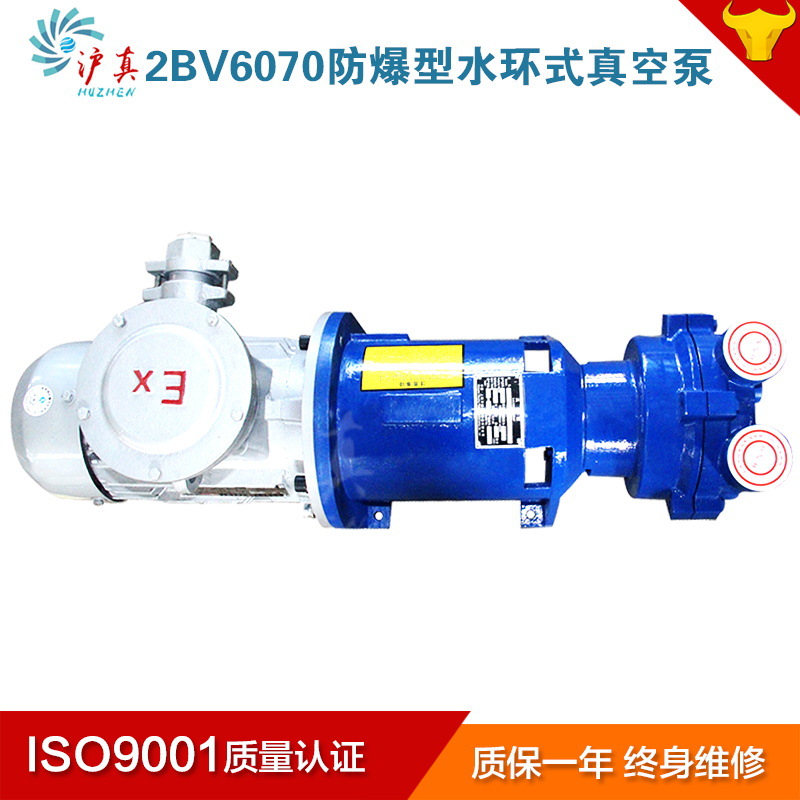 2BV水环式真空泵 防爆型工业多用途水环真空泵  循环水泵