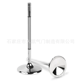 1004128 1031317 1072283 1004127 1031316  进排气门型号全