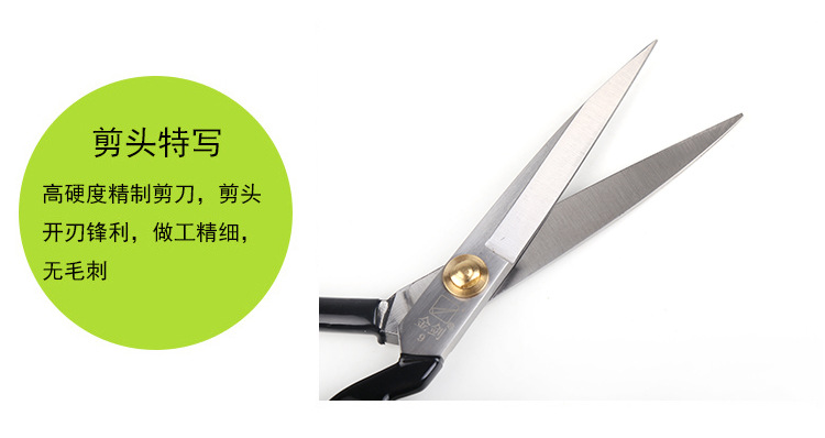 未标题-1-拷贝_08