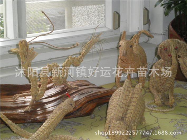 360截圖20160503101810175