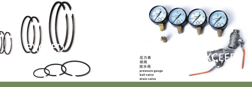 8006_副本