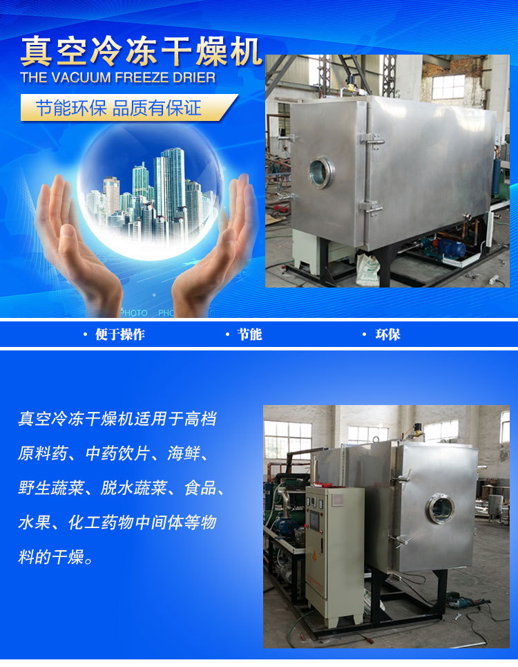 石家庄水果专用低温真空冷冻干燥机 厂家