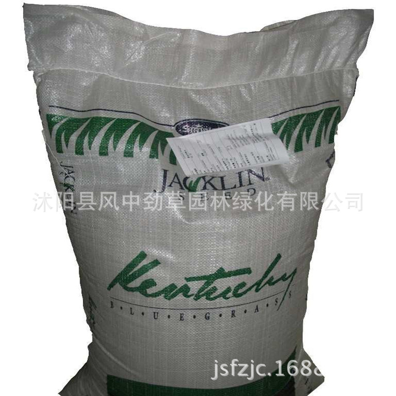 Evergreen Lawn seed Revetment Lawn seed Parking apron Tall fescue Lawn Seeds Germination rate