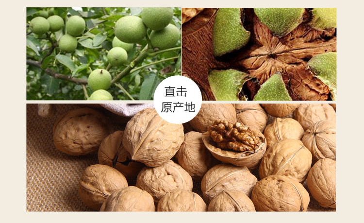 Walnut Kernels (Juglans regia) — Hand-Shelled Xinjiang Walnut Meat, 500g preparation