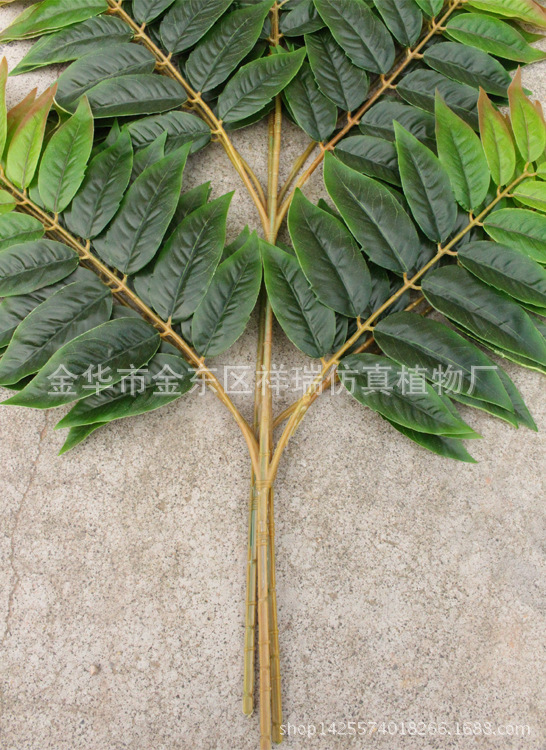 XRB-150天堂叶五叉枝4