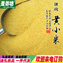 陕北黄小米价格_今日最新陕北黄小米价格行情