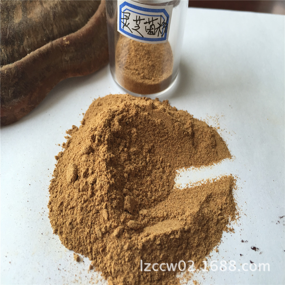 GMP厂家直供 优质灵芝粉 灵芝菌粉 量大从优