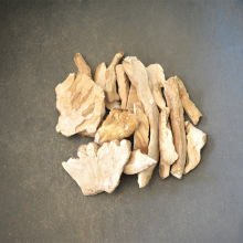 �`֥֮��  ��Ǿ� ��ș��  ș�þ� �a�����l һ��؛Դ�B��