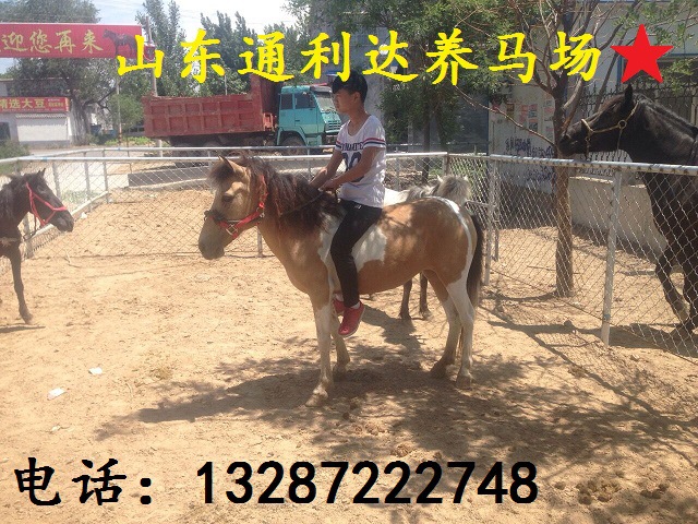 QQ图片20160521112506