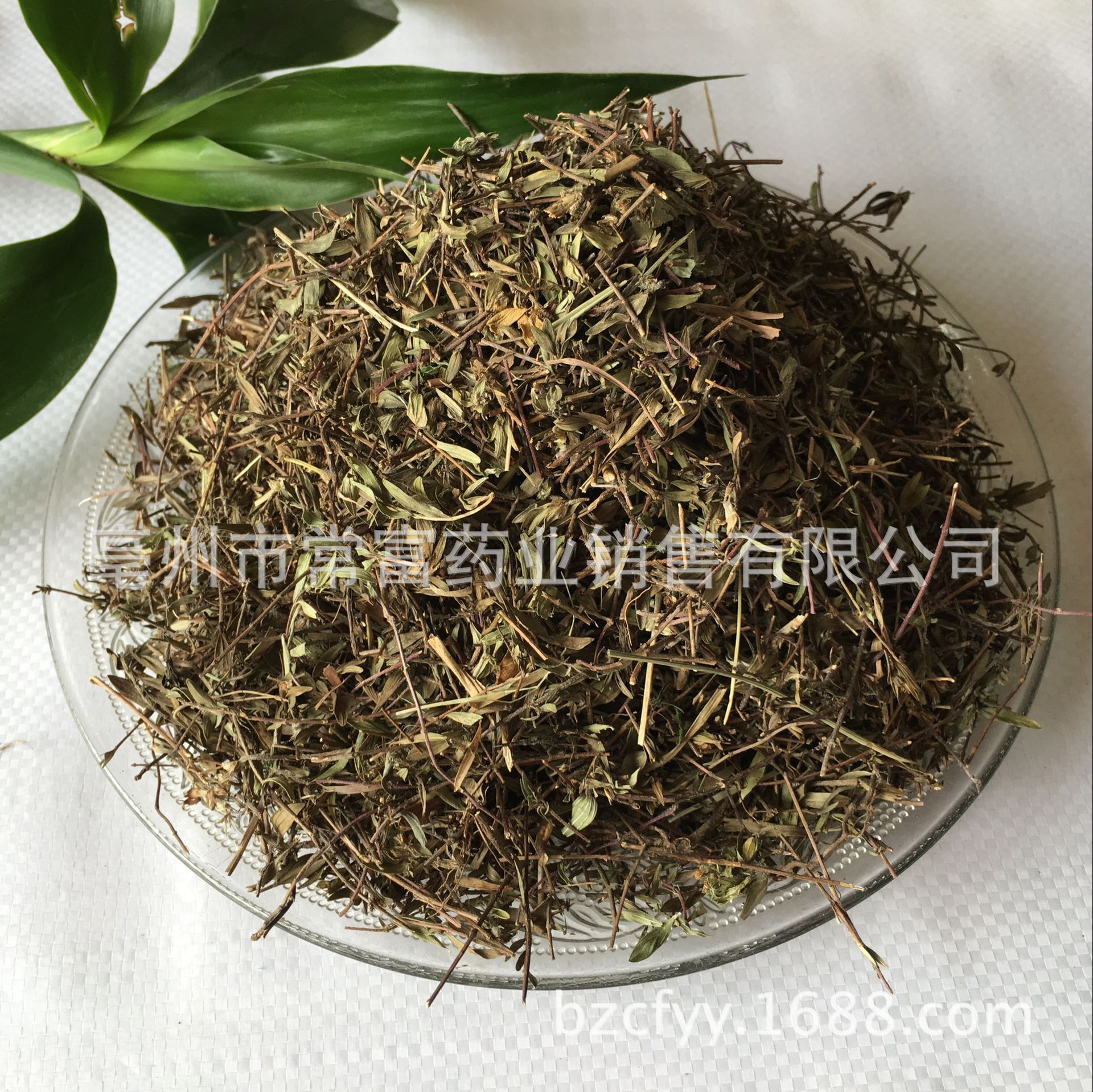 Dried Thyme Herb Bai Li Xiang 500g Culinary Seasoning for Western Cooking and Herbal Tea key features