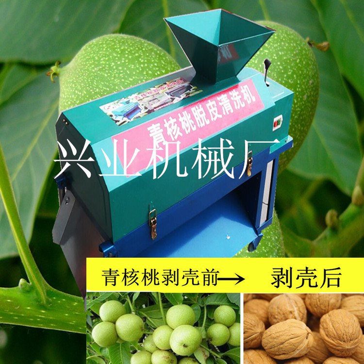 河北 山核桃剥皮机 核桃剥青皮机带刚刷清