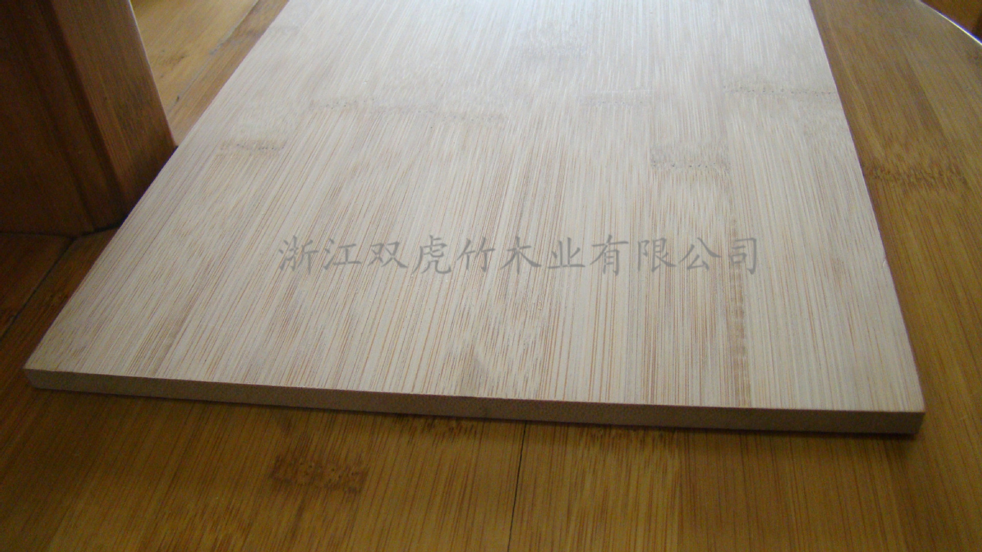 DSC09683_Copy
