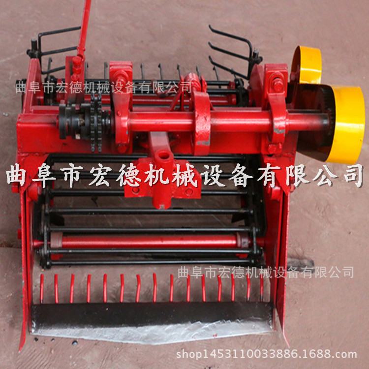 2625775562_1279795638