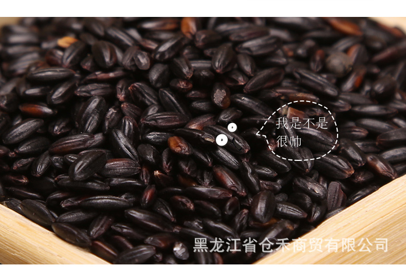 黑米_13