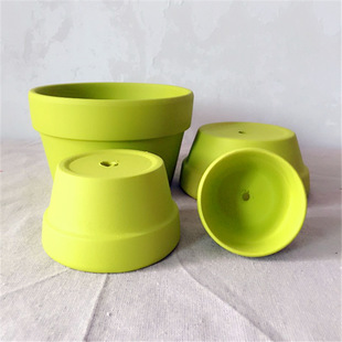 �t����  �t�ն���ֲ�ﻨ��  ����t�����L����