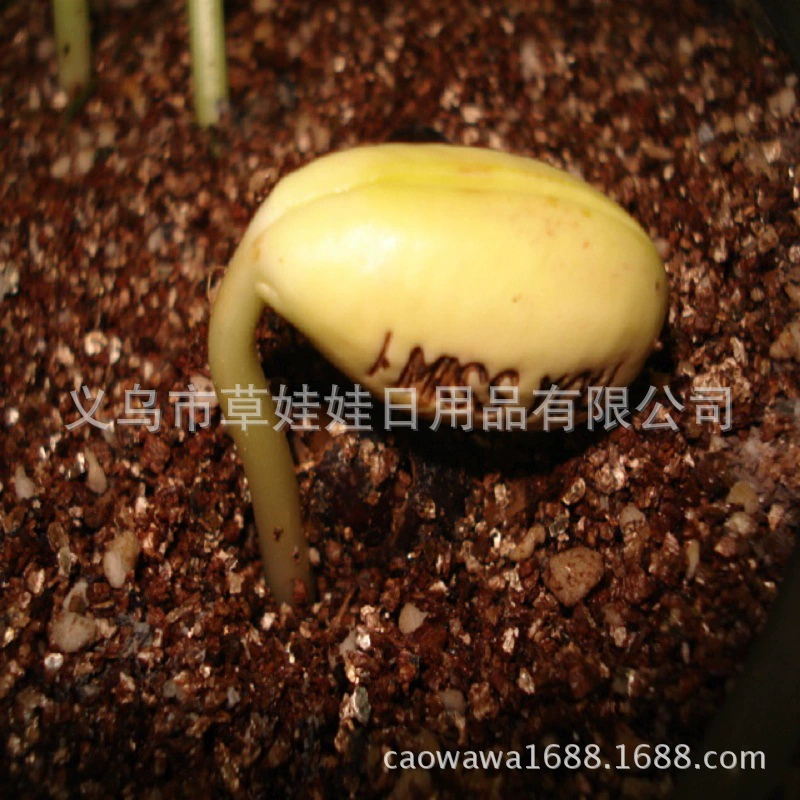 35 г небольшой пакет питательной почвы вермикулит 2-4 мм вылупление Садоводство горшечный субстрат мясистая посадка вермикулит