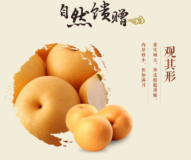 秋月蜜梨_03