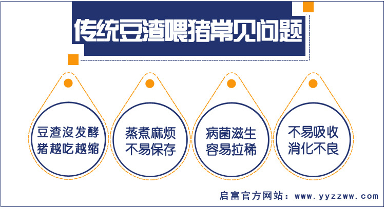 豆渣不发酵喂猪的危害