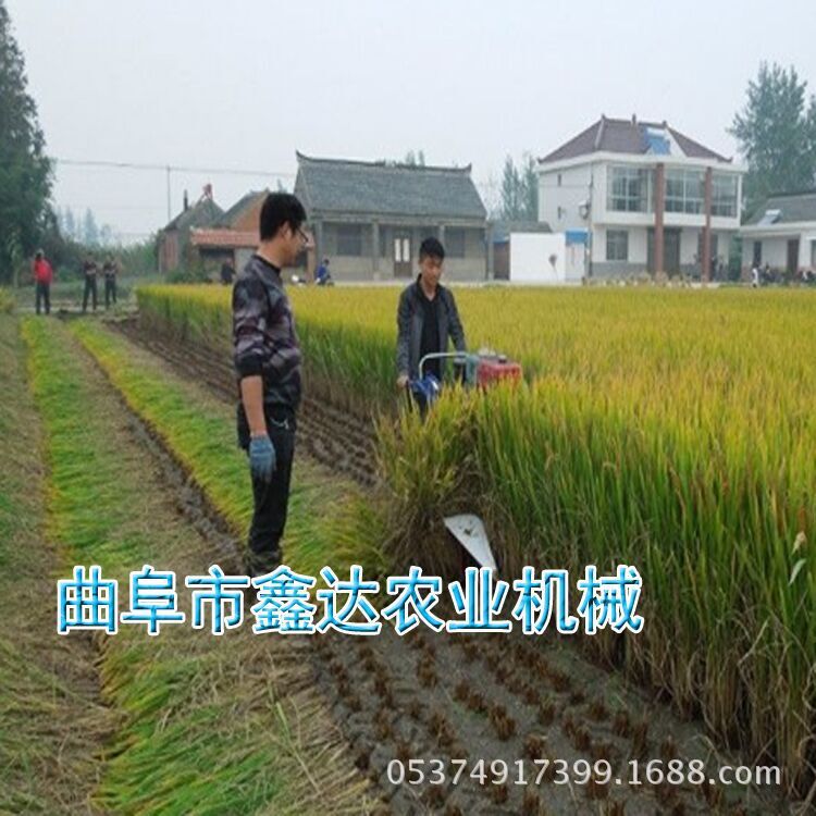 性能好割晒机 小麦割晒机 小型小麦割晒机