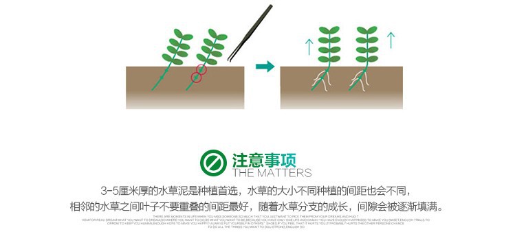 回到页面顶端 越南百叶描述6