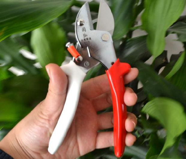 台湾进口岡弘V517苗圃花园花卉插花专用剪女士专用修枝修花剪
