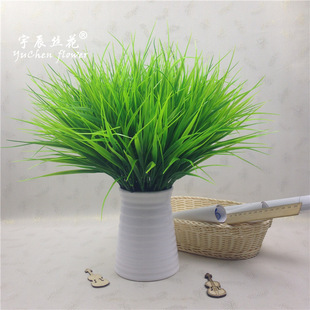 ���l����ֲ�� ����С�� 7����洺�� �辰�@ˇ�廨�b����