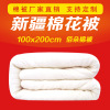 100x200 Cotton The quilt core Xinjiang Cotton quilt with cotton wadding Single Spring with On behalf of student dormitory