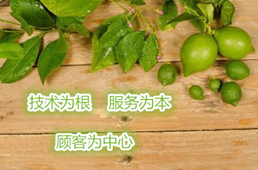 t0134e70376d295bd8f_副本