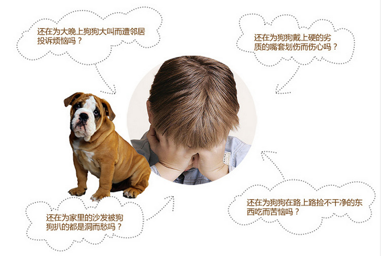 CD5A(RW4S49)[6H~V1L}D{G