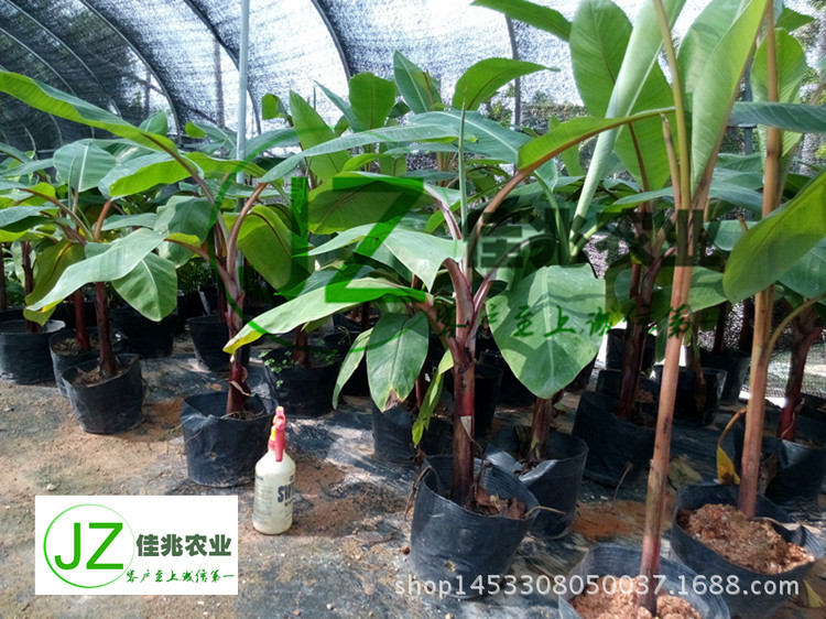 IMG_20150630_091420_副本